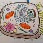 IMG_20200313_152729_688